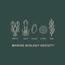 Marine Biology Society Ocean or Sea Organisms Drawing  PR Shirt