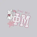 Phi Mu Paisley Letters and Bunny Bid Day Hoodie