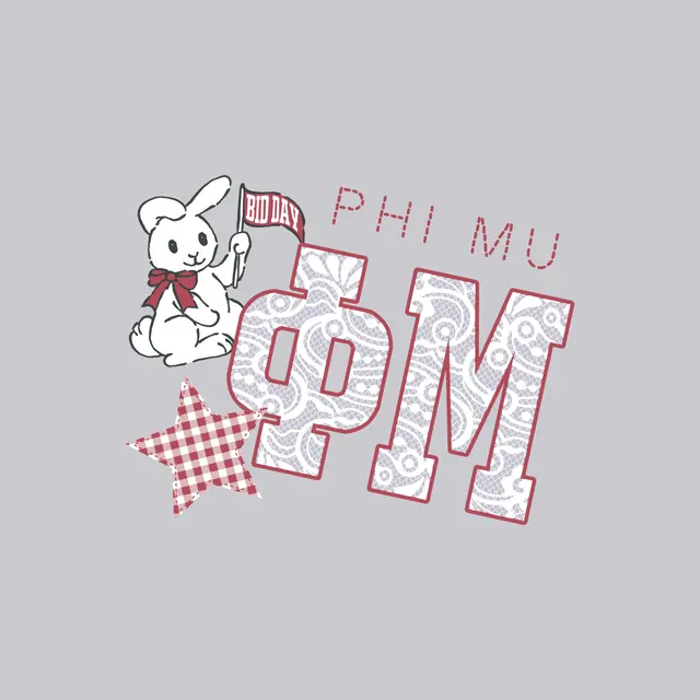 Phi Mu Paisley Letters and Bunny Bid Day Hoodie