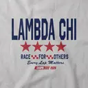 Lambda Chi Bold Lettering Stars Philanthropy Hoodie