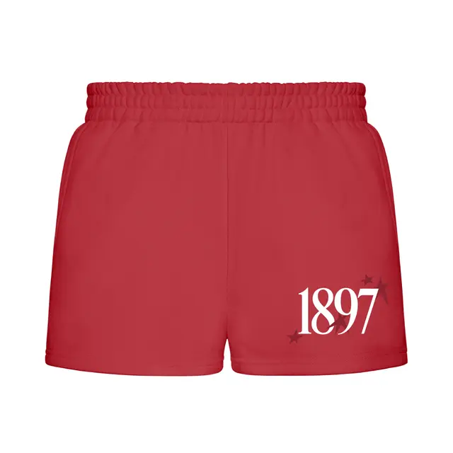 Alpha Omicron Pi Star Graphic PR Shorts 2