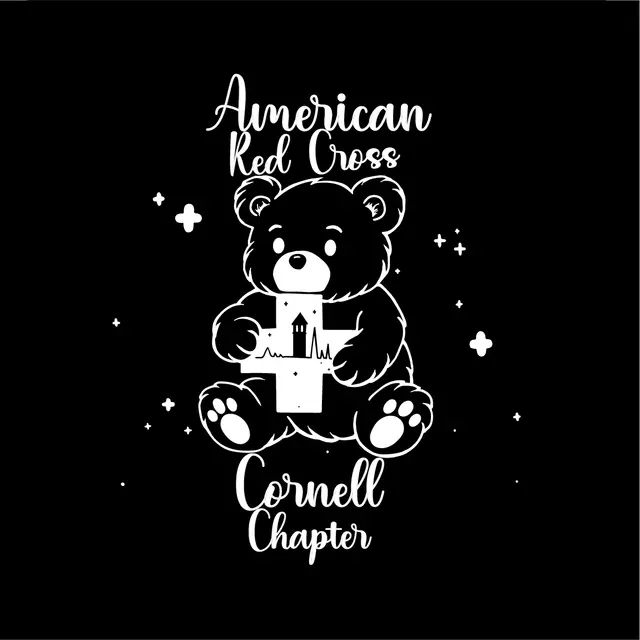 American Red Cross Bear Graphic Philanthropy Hoodie