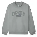 Delta Phi Epsilon Bold Arch Text Mom's Day Crewneck 2