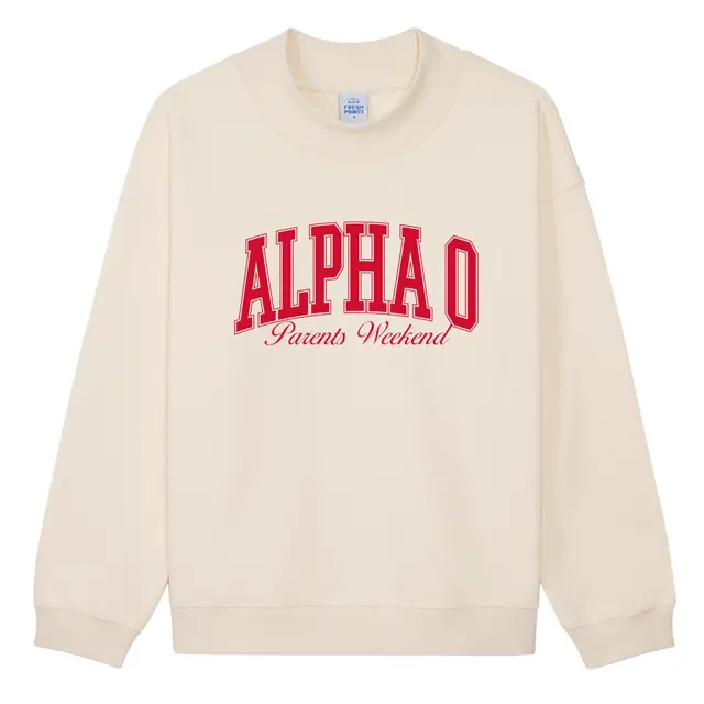 Alpha Omicron Pi Block Lettering Parents Weekend Hoodie 2