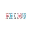 Phi Mu Gingham Letters PR Shirt