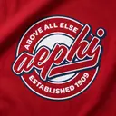 Alpha Epsilon Phi Circular Logo PR Shorts