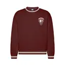 PNB Society Brain and Neuron Lightbulb PR Crewneck for Trigon Engineering Society