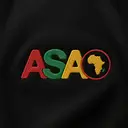 African Student Association Bold Color Block Text PR Hoodie