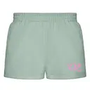 Delta Zeta Pastel Pink DZ Logo PR Shorts 2