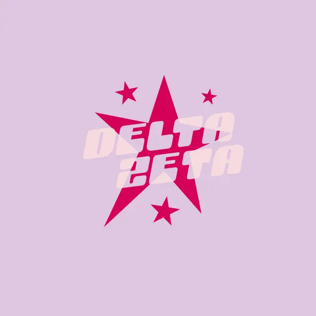 Delta Zeta Star Graphic Text PR Hoodie