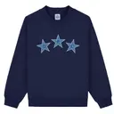 Delta Phi Epsilon Star Pattern PR Sweater 2