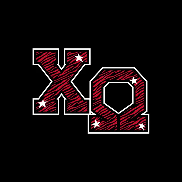 Chi Omega Red Zebra Print and Stars PR Hoodie