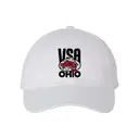 Vietnamese Student Association Dragon Illustration PR Hat 2