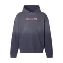 Kappa Alpha Order Curved Text PR Hoodie 2
