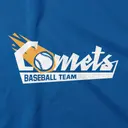 Baseball Team Bold Script and Baseball Graphic PR Hoodie