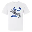 Kentucky Lawyer Cat Illustration PR Shirt 2