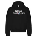 Baseball Team Laurel Crest PR Hoodie 2