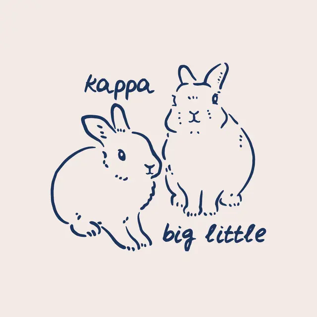 Kappa Kappa Gamma Bunny Duo Big Little Reveal Tank