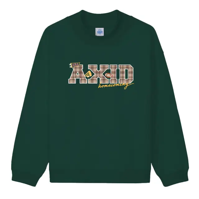 Alpha Xi Delta Plaid Block Lettering Homecoming Hoodie 2