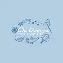 Chi Omega Make-a-Wish Starry Philanthropy Shirt