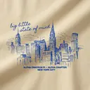 Alpha Omicron Pi Skyline Illustration Big Little Reveal Tank