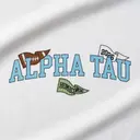 Alpha Sigma Tau Football Flags Homecoming Shirt