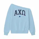 Alpha Chi Omega Stacked Serif Text PR Hoodie 2