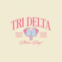 Delta Delta Delta Pickleball Paddles Graphic Mom's Day Shirt