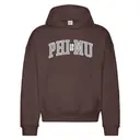 Phi Mu Classic Arch Text PR Hoodie 2