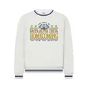 Kappa Alpha Theta Stadium Illustration Homecoming Crewneck 2