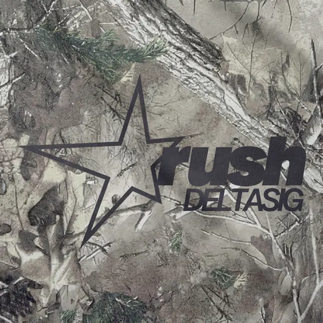 Delta Sigma Phi Text and Cool Y2K Star in Gray Rush Sweater