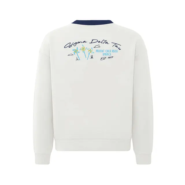 Sigma Delta Tau Whimsical Pinwheels Philanthropy Sweater 2