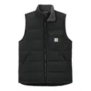 Carhartt Carhartt® Montana Insulated Vest Black Front
