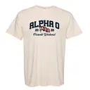 Alpha Omicron Pi Flag Design Parents Weekend Shirt 2