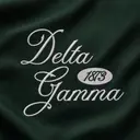 Delta Gamma Flowing Script PR Crewneck